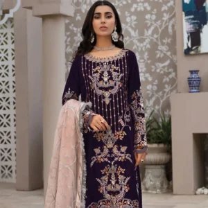 Pakistani Embroidered Velvet Winter Wear Salwar Suit – Wholesale Luxury for the Season